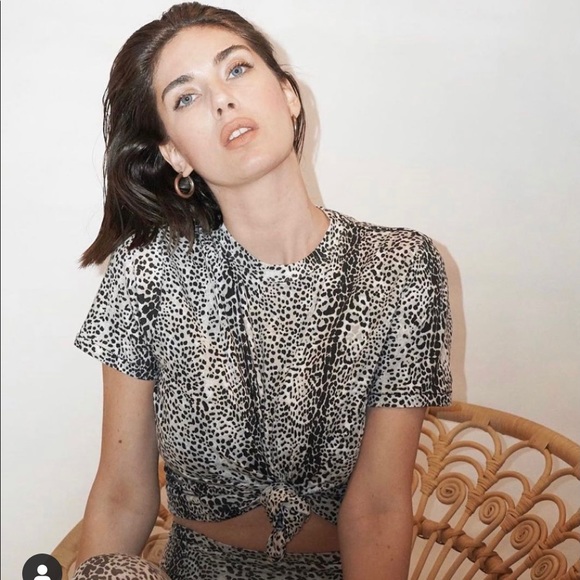 Ragdoll LA Stone Mini Leopard set - Picture 2 of 7